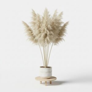 Pampas Grass