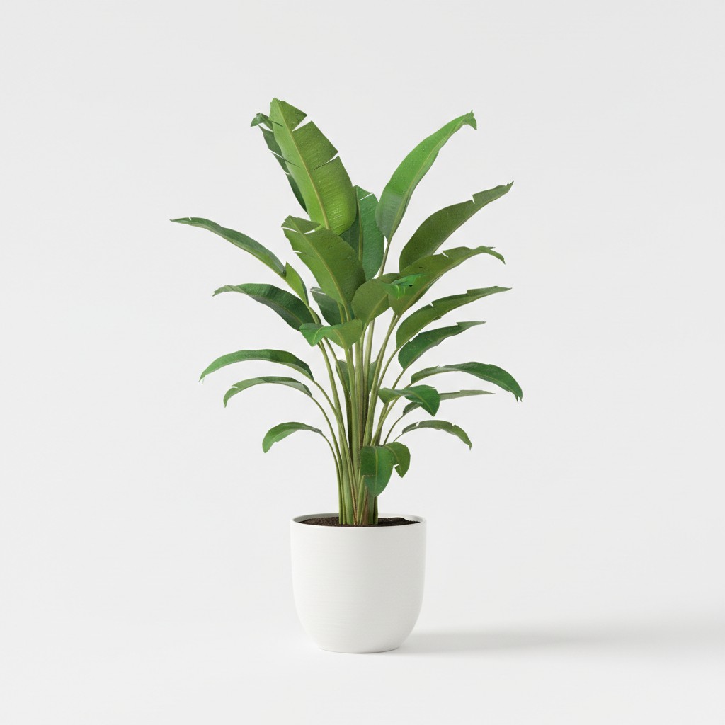 Plantain - Plant Care Guide